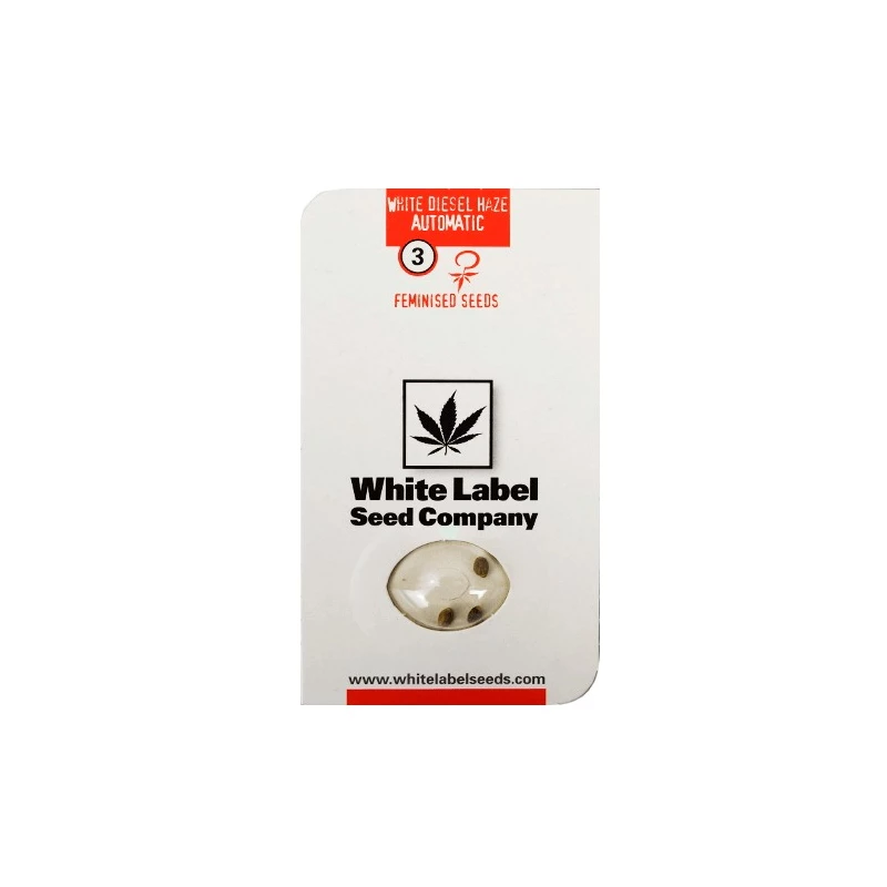 balenie semienok marihuany White Diesel Haze Automatizované (3 semienka) od White Label