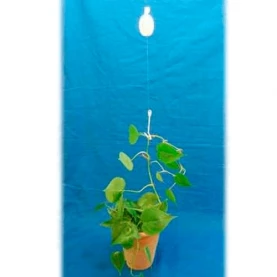 Zariadenie na podporu rastlín JOJO Hydroponic