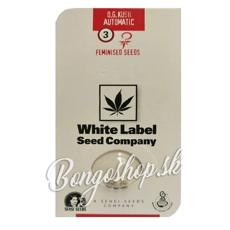 O.G. Kush Automatic (3 semienka) - Semená marihuany White Label Seed Company