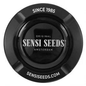 Darčekový SET Sensi Seeds s konopným  semienkom Cobalt Haze