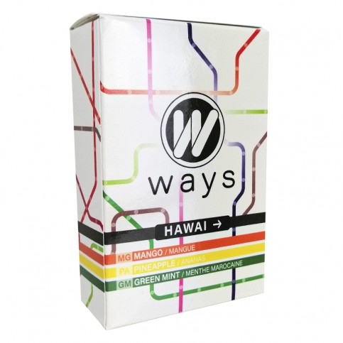 WAYS 50g tabamel - Beznikotínová náhrada (Celulóza bez nikotínu do vodnej fajky) - Hawaii (ananás, mango, marocká mäta)