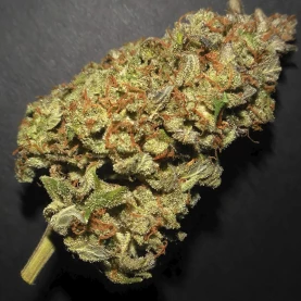 Lemon AK (3 semená) Auto - Semená marihuany Fast Buds - detail na kvet