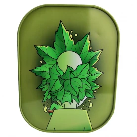 Roll Tray Box Green Rick 18x14x5cm