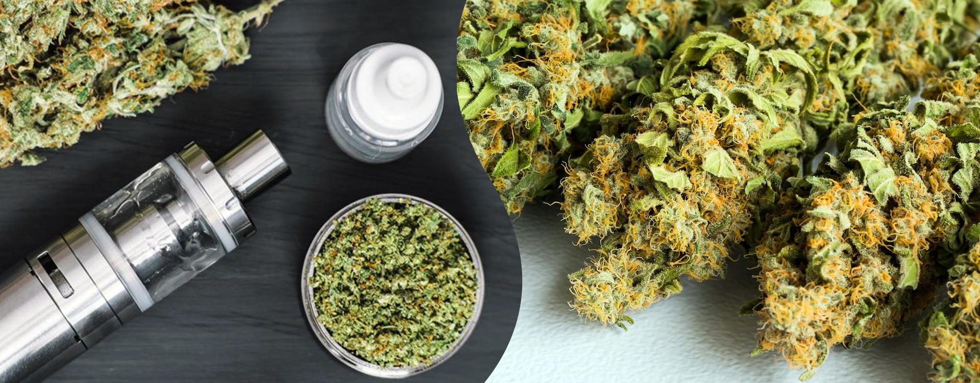 Šišky marihuany a vaporizér, drvená bylina v drvičke