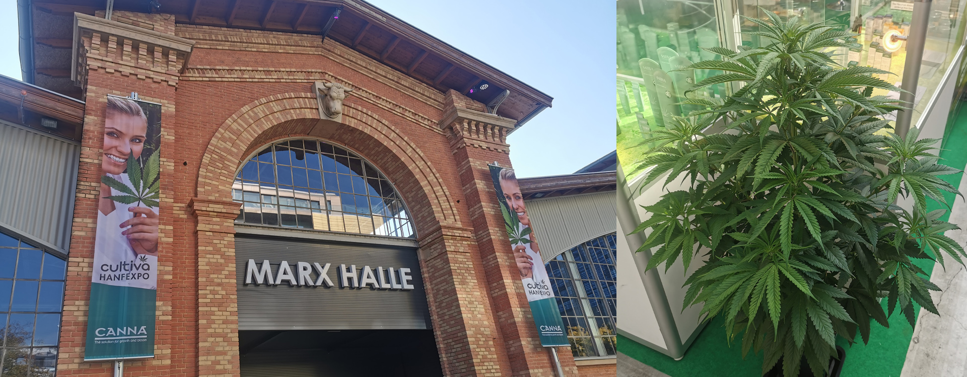 Fotografia z konopnej výstavy Cultiva 2022