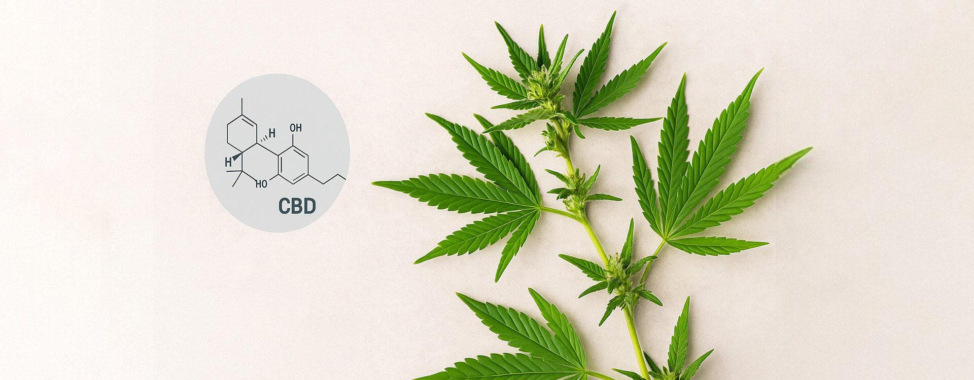 Co-je-CBD