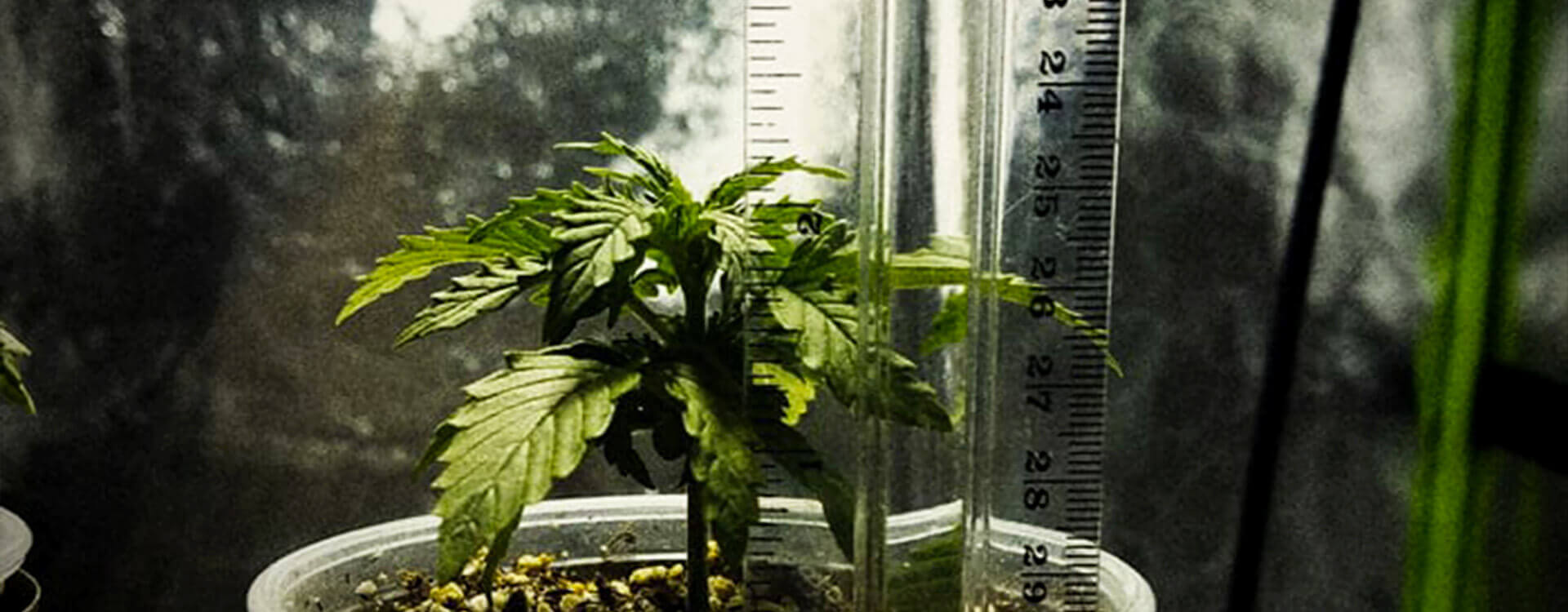 Vsetko-pod-kontrolou