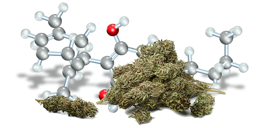 dekarboxylacia 4 BongoBlog-min.png